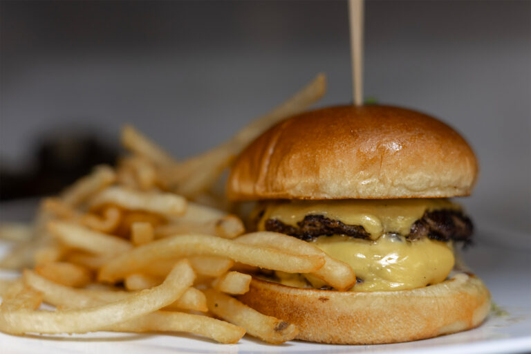 Burger and Fries for Dinner in downtown ocala